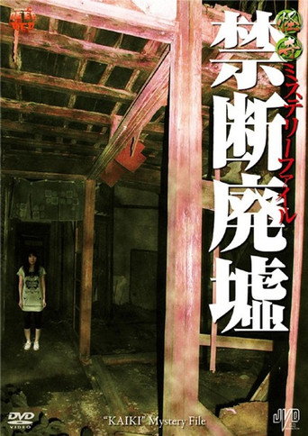 Movie poster for Bizarre Mystery File: Forbidden Ruins (2010)