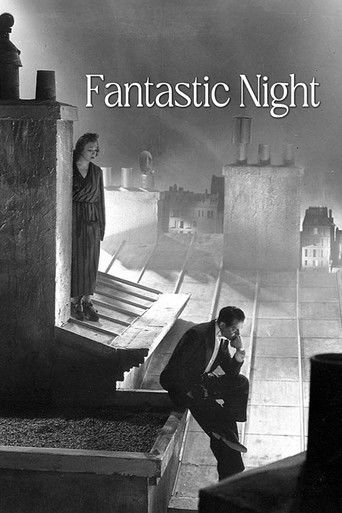 Fantastic Night poster