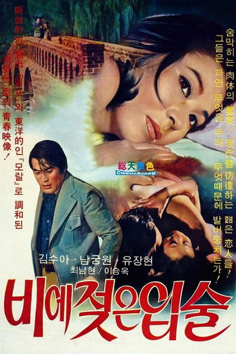 Movie poster for Wet Lips in the Rain (1974)