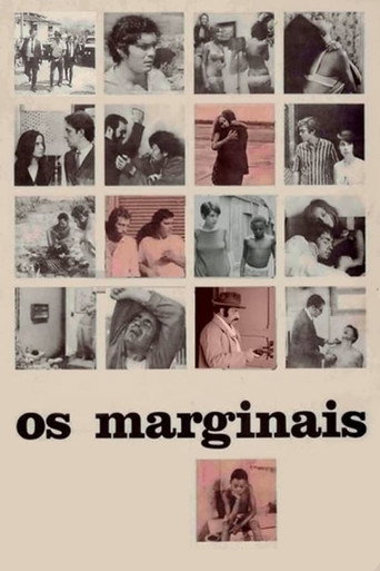 Movie poster for The Outsiders (1968)