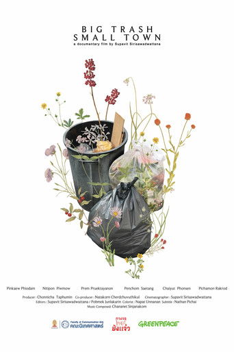 Big Trash Small Town poster