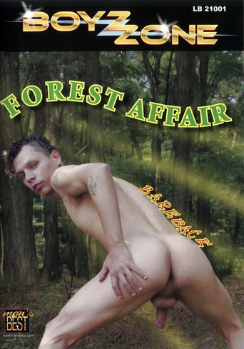 Movie poster for Forest Affair (2007)
