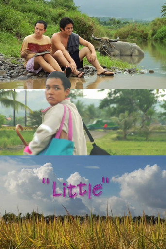 Movie poster for Little (2009)