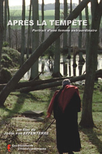 Movie poster for Après la tempête (2001)