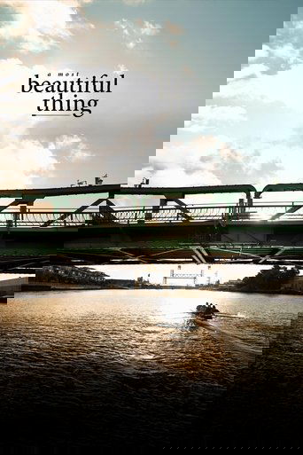 A Most Beautiful Thing poster