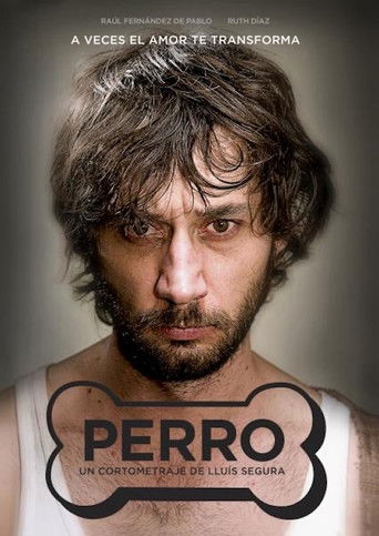 Perro poster