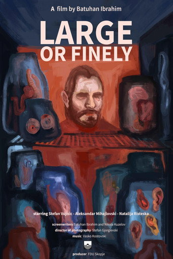 Large or Finely poster