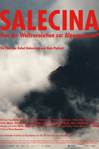 Movie poster for Salecina (2011)