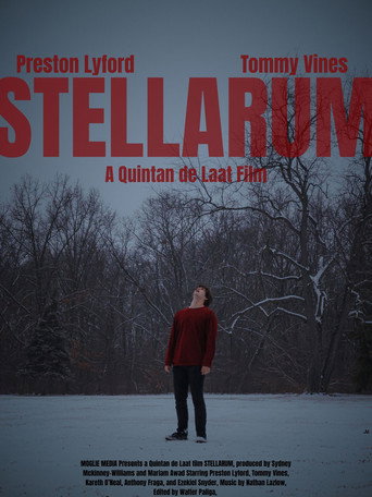 Movie poster for STELLARUM (2025)