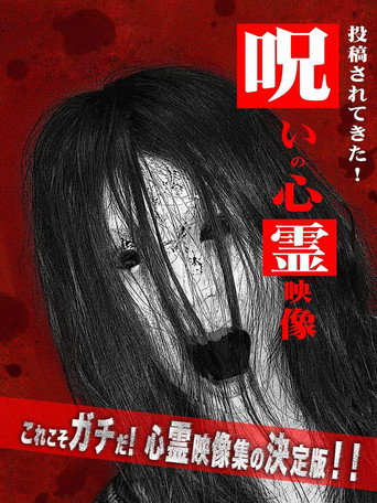 Movie poster for Cursed Supernatural Footage (2010)