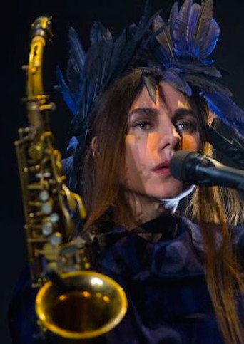 Movie poster for PJ Harvey aux Nuits de Fourvière (2016)