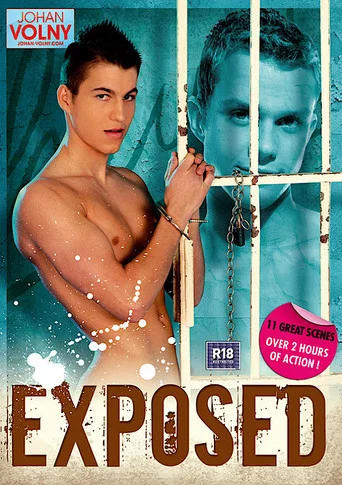 Movie poster for Exposed (2010)
