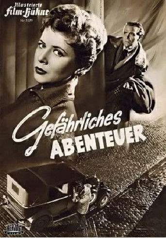 Adventures in Vienna poster