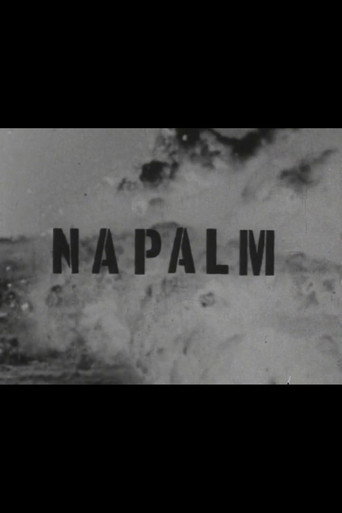 Movie poster for Napalm (1967)
