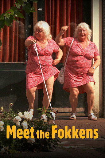 Movie poster for Meet the Fokkens (2011)