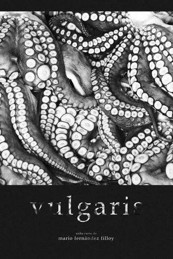 Movie poster for Vulgaris (2021)