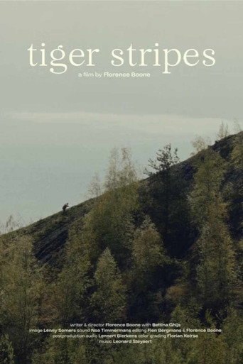Movie poster for Tiger Stripes (2024)