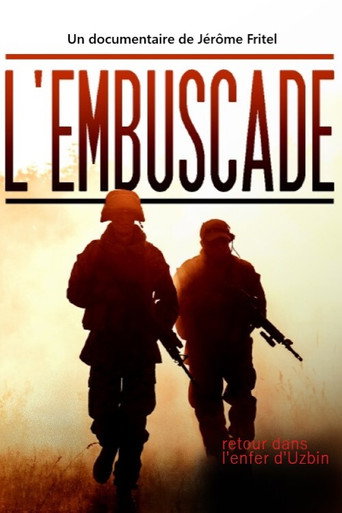 Movie poster for L'Embuscade : retour dans l'enfer d'Uzbin (2013)