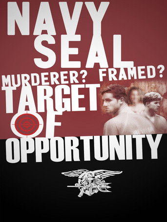 Movie poster for Navy SEAL: Murderer? Framed? Target of Opportunity? (2015)