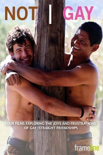 Movie poster for Not Gay (2008)