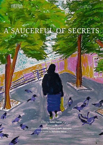 Movie poster for A Saucerful of Secrets