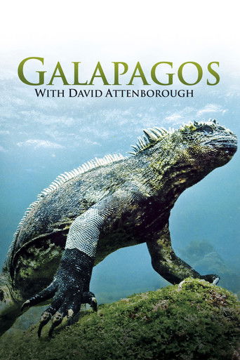 Galapagos 3D with David Attenborough poster