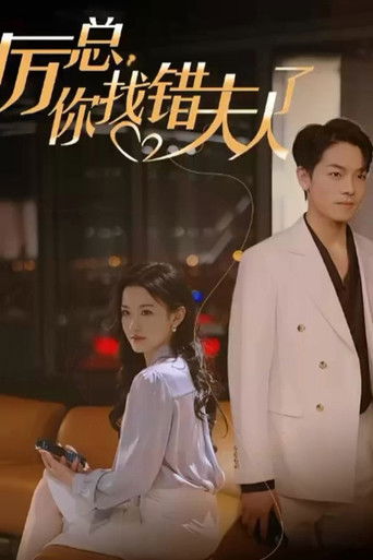 Mr. Li, You Have Found the Wrong Lady poster