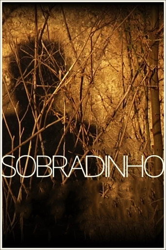 Movie poster for Sobradinho (2020)