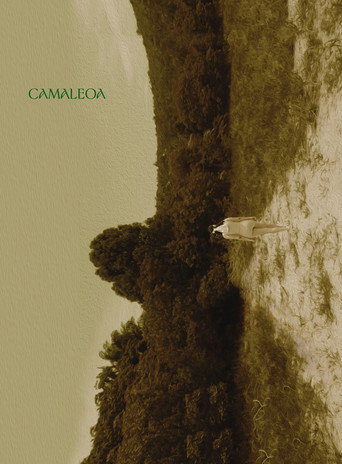Movie poster for Camaleoa (2023)