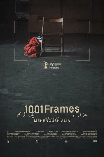 1001 Frames poster