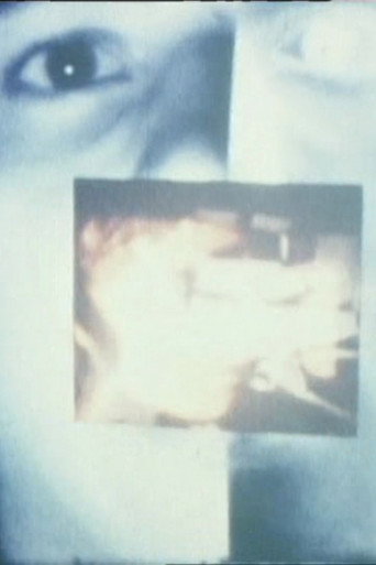 Movie poster for The Screen, Just the Screen (1978)