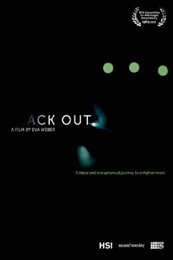 Movie poster for Black Out (2014)