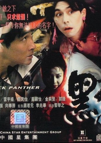 Movie poster for Black Panther (1993)