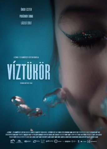 Movie poster for Reflections (2026)