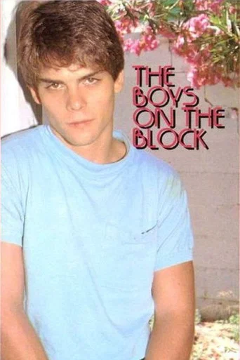 Movie poster for The Boys on the Block (1989)
