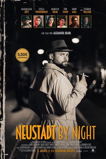 Movie poster for Neustadt by Night (2025)