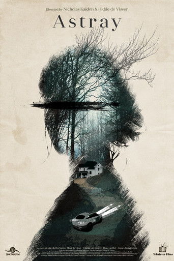 Astray poster