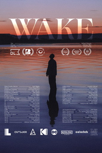 Movie poster for Wake