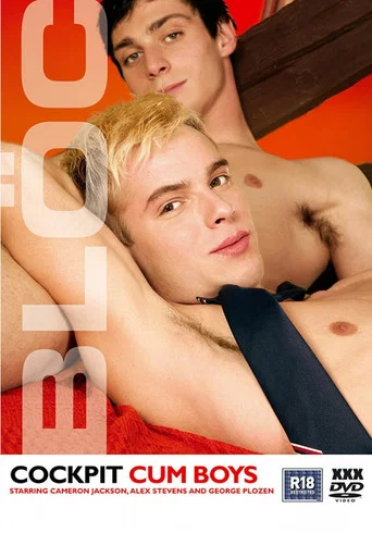 Movie poster for Cockpit Cum Boys (2007)