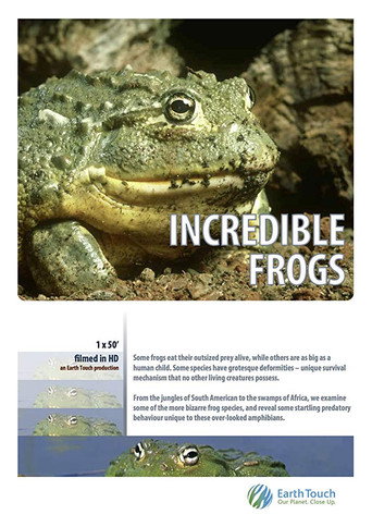 Movie poster for Incredible frogs (2015)