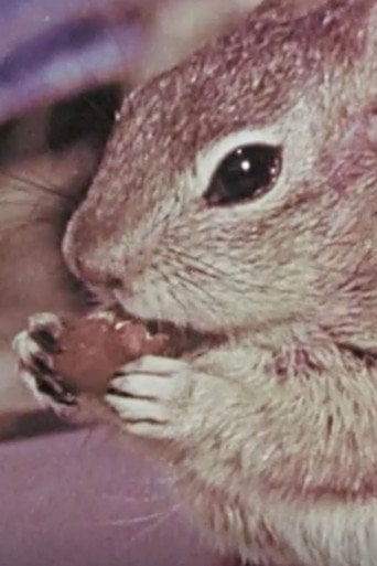 Movie poster for Squeak the Squirrel (1957)