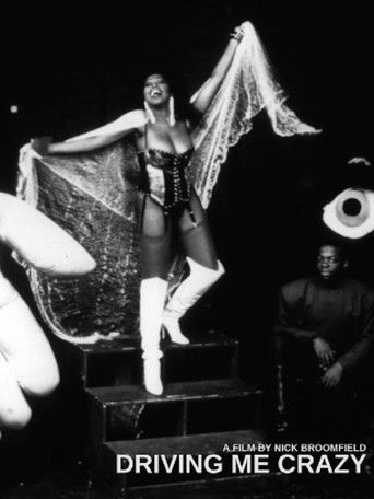 Driving Me Crazy poster