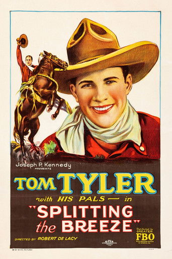 Splitting the Breeze poster