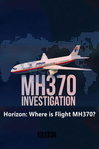 Movie poster for Horizon: Where is Flight MH370? (2014)