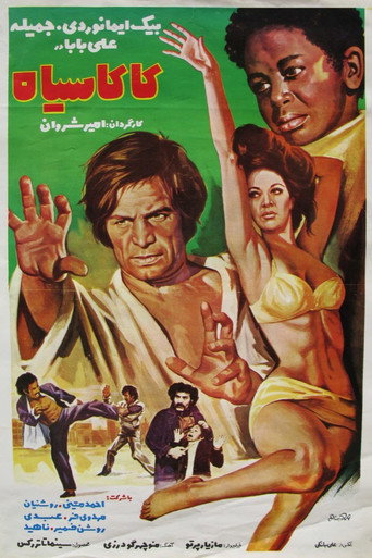 Movie poster for The Nigger (1973)