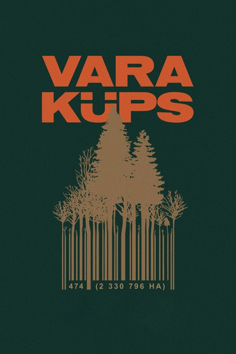 Movie poster for Vertical Money (2024)
