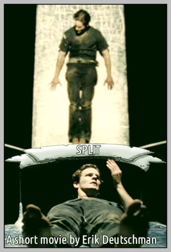Movie poster for Split (1998)