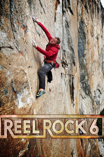 Movie poster for Project Dawn Wall (2011)