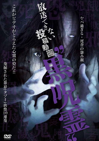 Movie poster for Submitted Videos That Cannot be Broadcast: Black Ghost (2013)