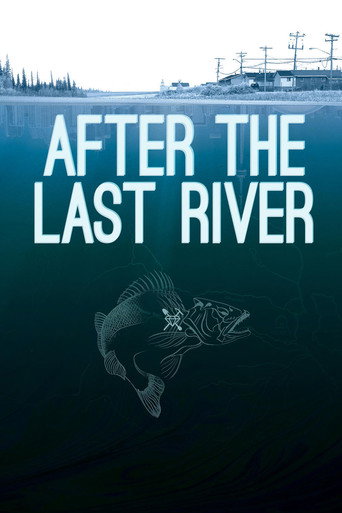 Movie poster for After the Last River (2015)